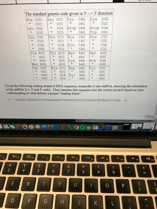 Solved Using The Codon Table Provided Fill In The Missing Chegg Com