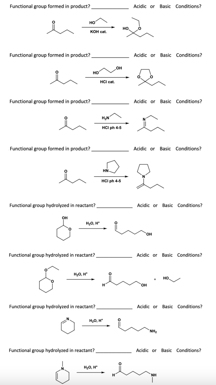 Solved please identify the functional group the question is | Chegg.com