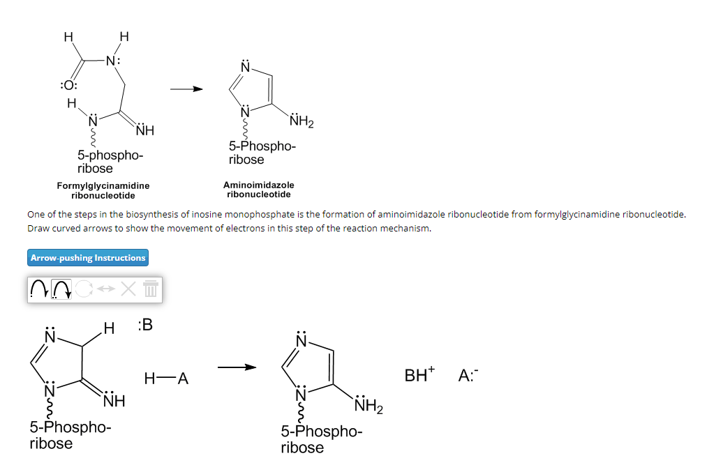 Solved ribose ribose Formylglycinamidine ribonucleotide | Chegg.com