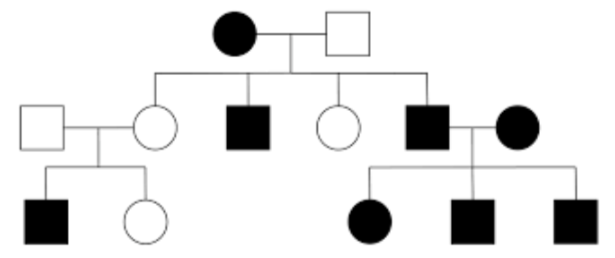 Solved In the following pedigrees, which modes of | Chegg.com