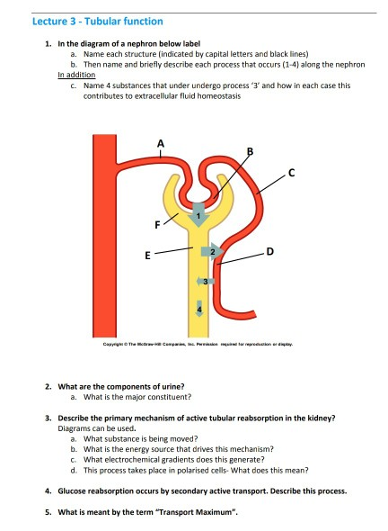 Solved Lecture 3 Tubular function 1. In the diagram of a | Chegg.com