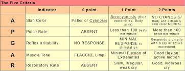 Wg 1 Flashcards Chegg Com