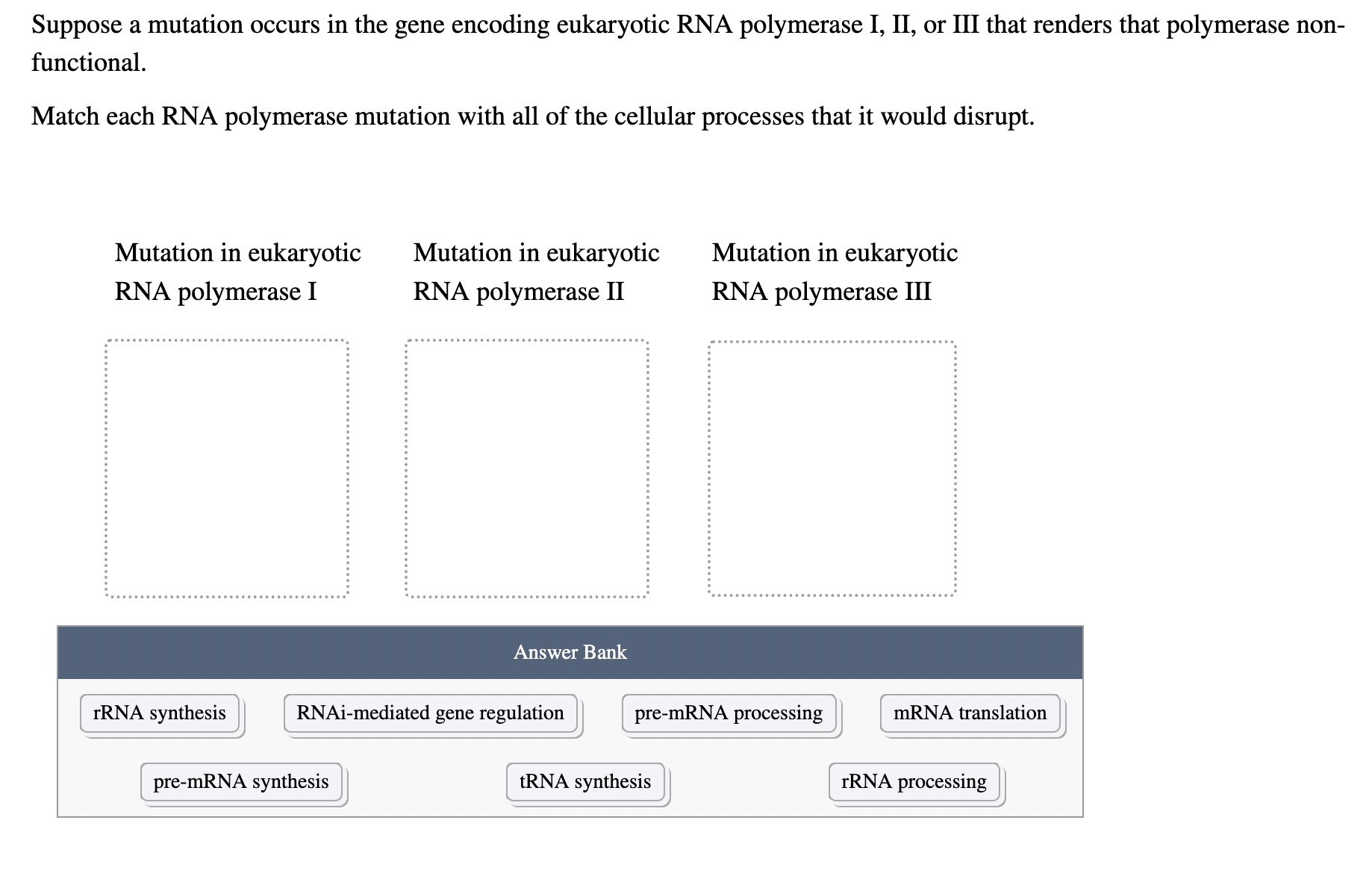 Solved Suppose A Mutation Occurs In The Gene Encoding Chegg Com