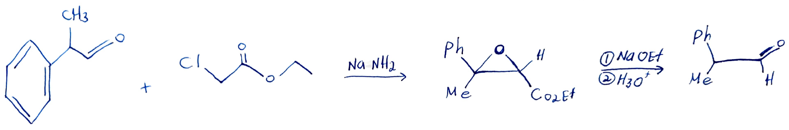Solved + NaNH2 (1) NaOEt | Chegg.com