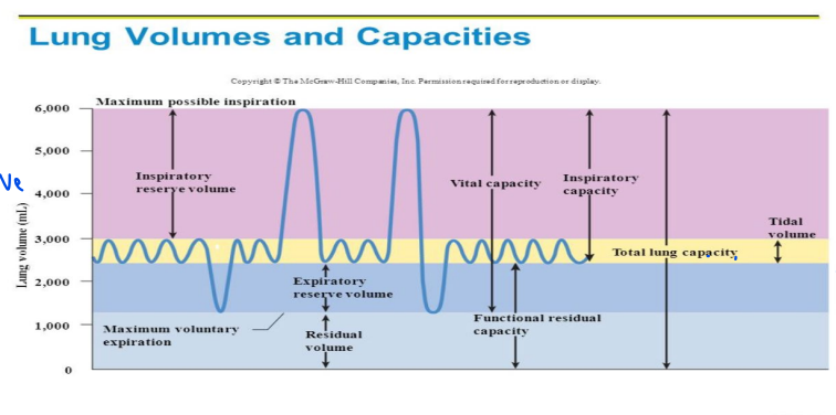 Graphing: On a separate piece of graph paper, create | Chegg.com