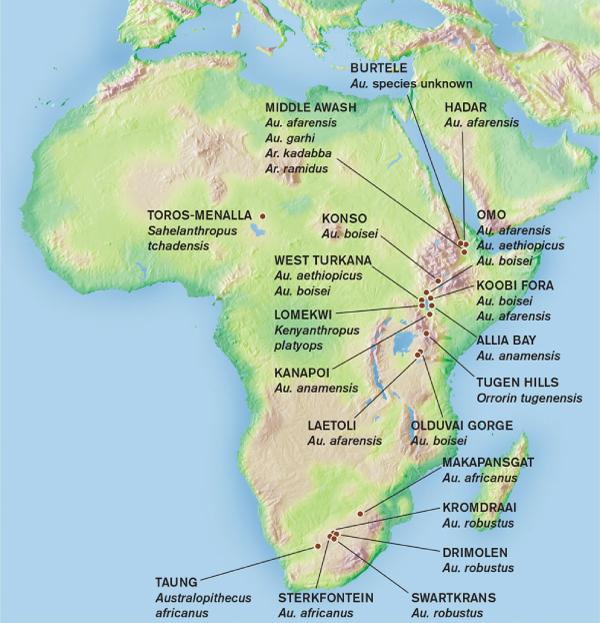 australopithecus afarensis map