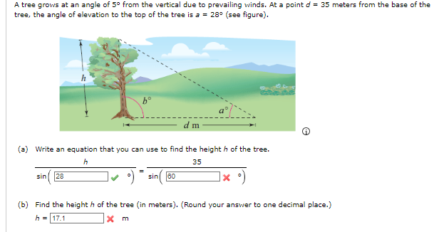 Solved A tree grows at an angle of 5∘ from the vertical due | Chegg.com