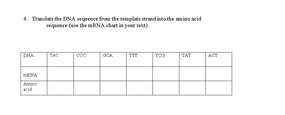 Solved 1. What will the sequence of mRNA nucleotides be if | Chegg.com