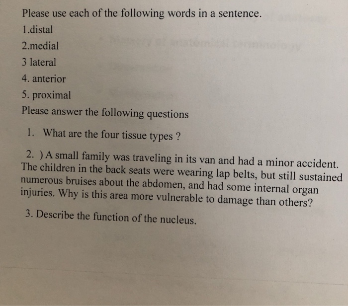 solved-please-use-each-of-the-following-words-in-a-sentence-chegg