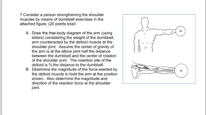 Solved 7 Consider A Person Strengthening The Shoulder | Chegg.com