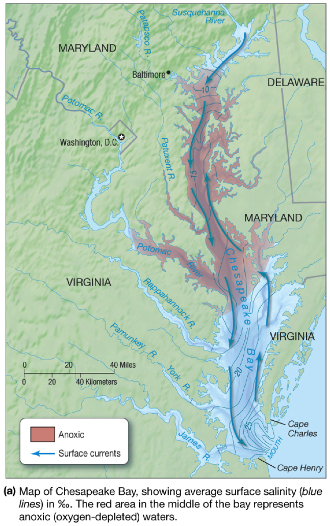 Solved What factors cause the surface salinity of | Chegg.com