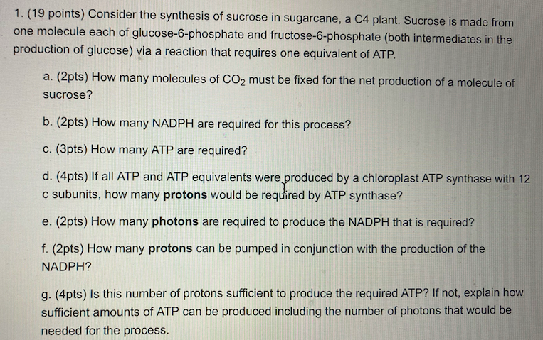 Solved 1. (19 points) Consider the synthesis of sucrose in | Chegg.com
