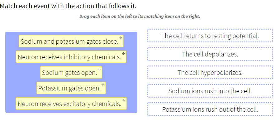 Solved Match each event with the action that follows it. | Chegg.com
