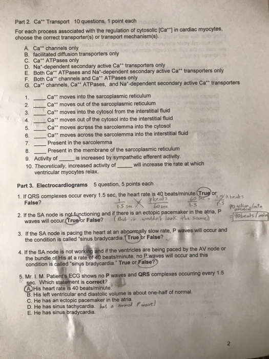 Solved Would someone please help me answer these questions? | Chegg.com