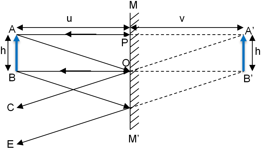 Solved In the figure magnification = Group of answer | Chegg.com
