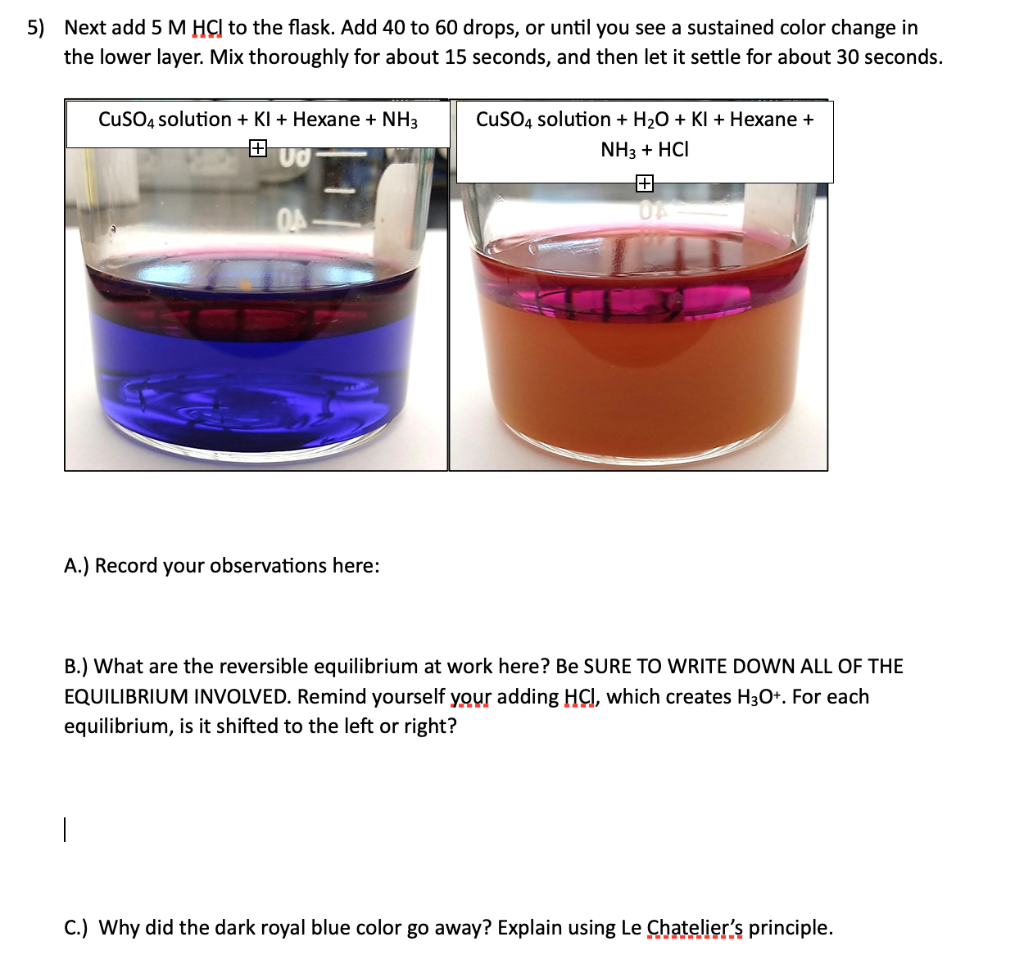 5) Next add 5 M HCl to the flask. Add 40 to 60 drops, | Chegg.com