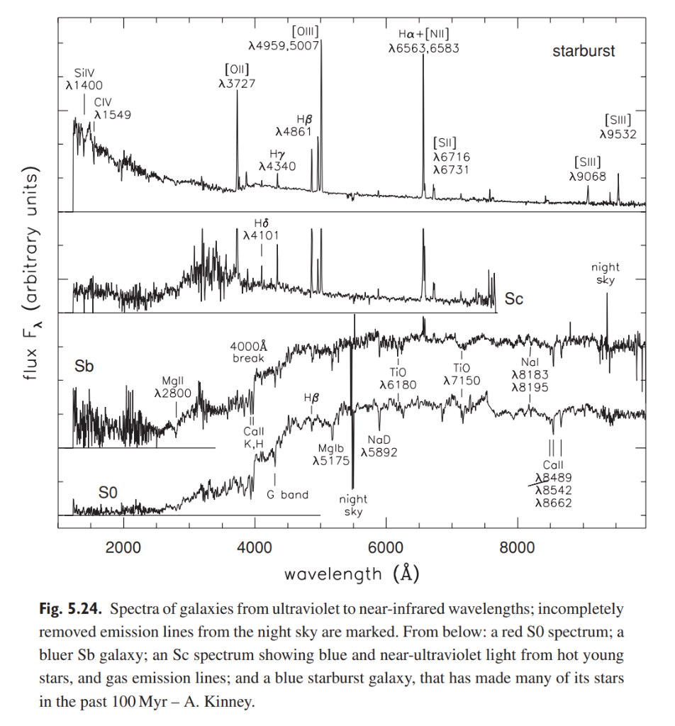 DaySmart The 10 Funniest Dog Kennel And Dog Grooming Names