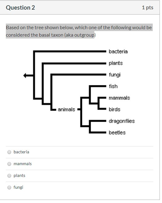 Solved Question 2 1 pts Based on the tree shown below, which | Chegg.com