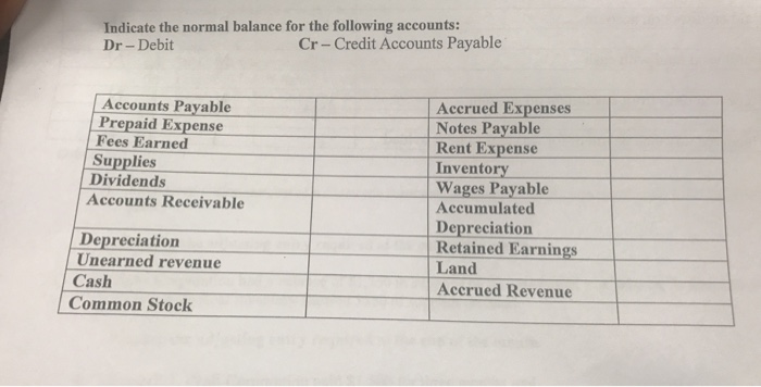 accounts payable has a normal credit balance