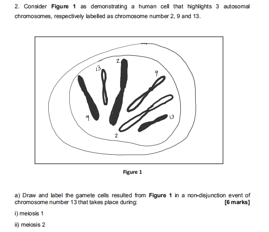 Solved 2. Consider Figure 1 as demonstrating a human cell | Chegg.com