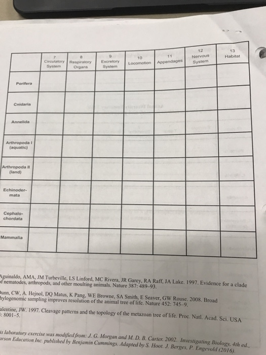 Solved Animal Diversity Summary Table Complete This Table As | Chegg.com