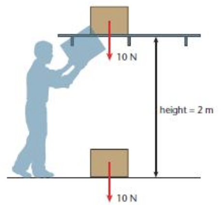 Solved A person lifting a box. (a) How much energy does the | Chegg.com