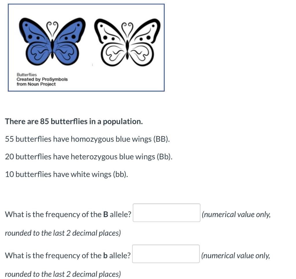 Solved Butterflies Created by ProSymbols from Noun Project