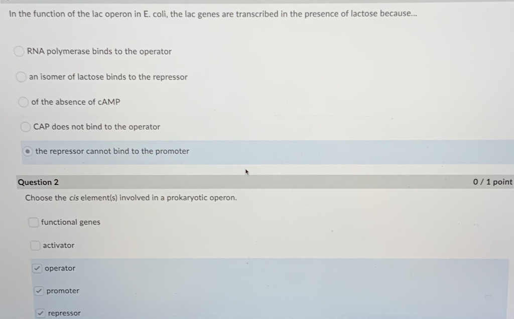 Solved In the function of the lac operon in E. coli, the lac | Chegg.com