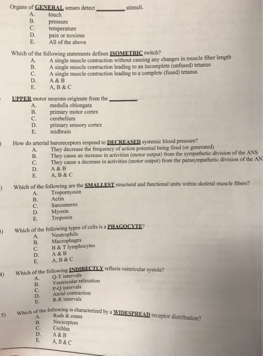 Anatomy And Physiology Archive November 13, 2017