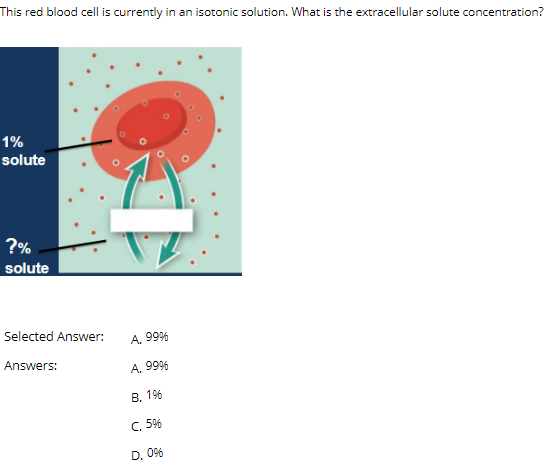 Solved This red blood cell is currently in an isotonic | Chegg.com