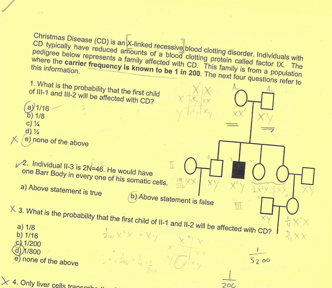 Solved Christmas Disease (CD) is an Xlinked recessive blood