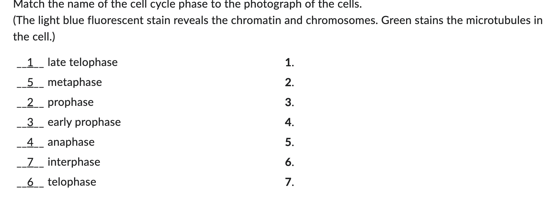 Solved Match the name of the cell cycle phase to the | Chegg.com