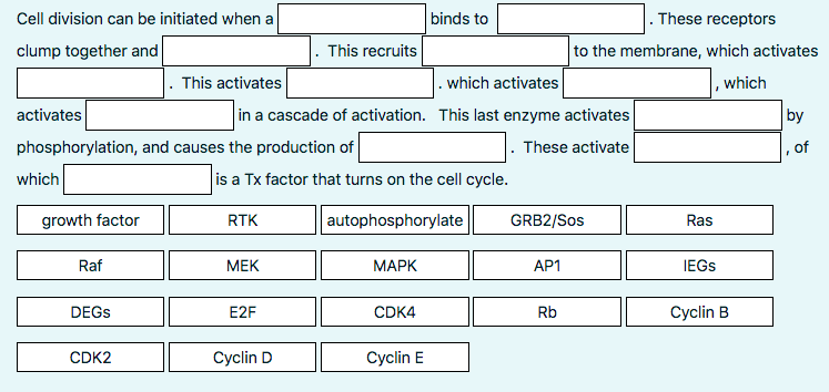 Solved Cell division can be initiated when a clump together | Chegg.com