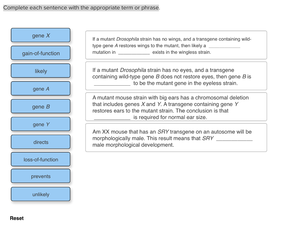 solved-complete-each-sentence-with-the-appropriate-term-or-chegg