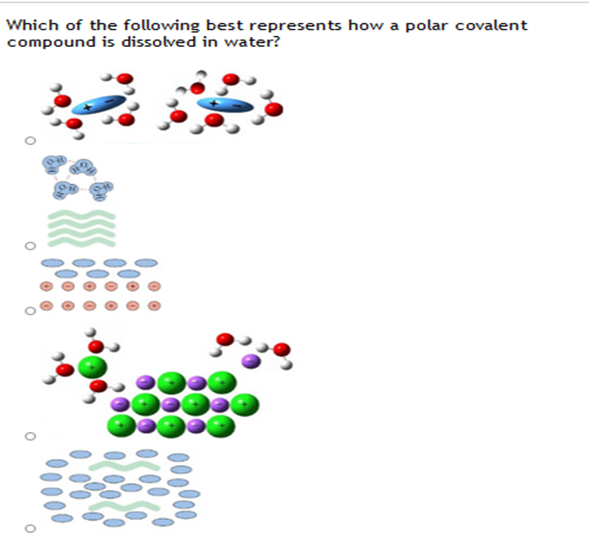 Which of the following best represents how a polar