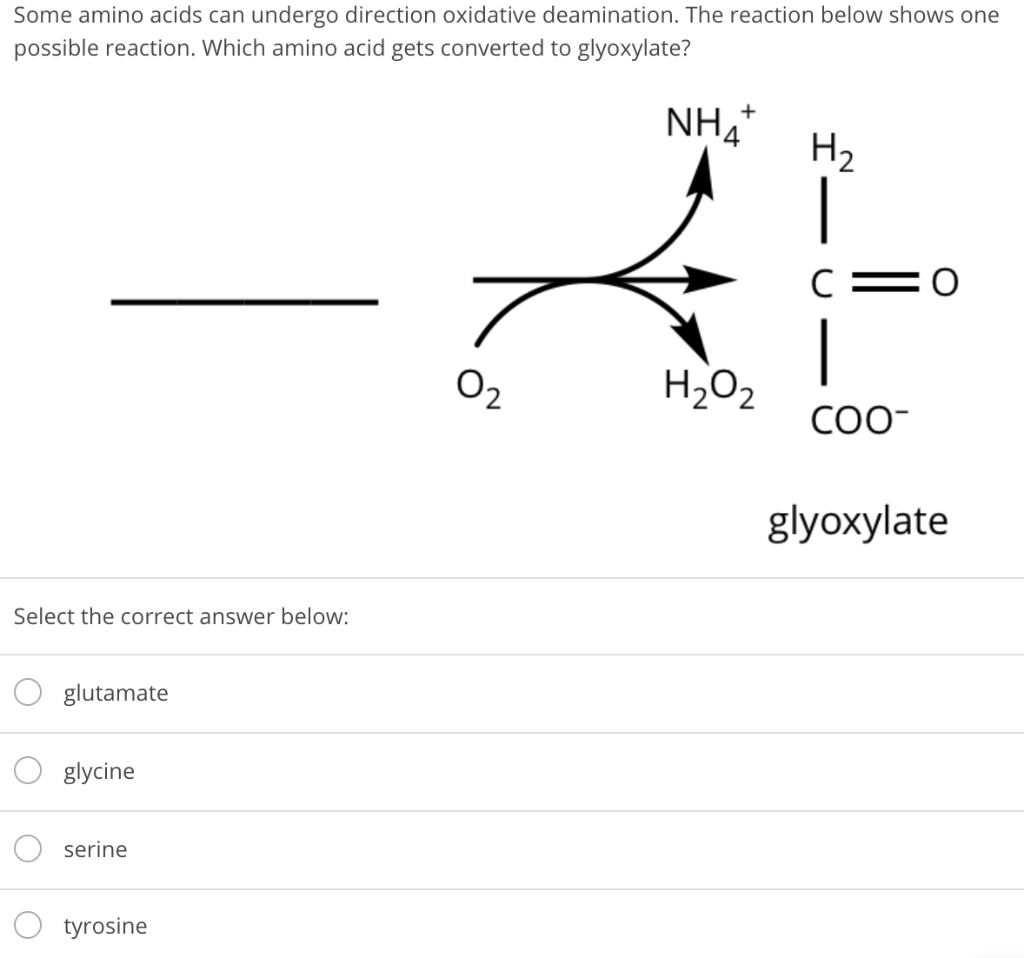 Solved Some amino acids can undergo direction oxidative