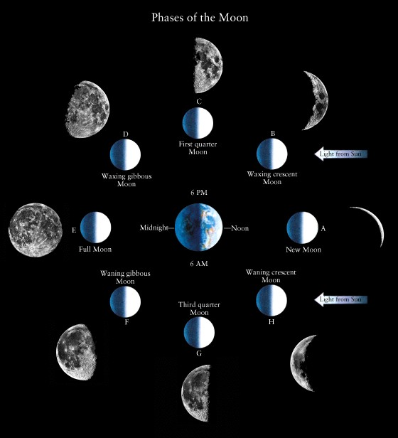 Solved How long does it take the Moon to complete one cycle | Chegg.com