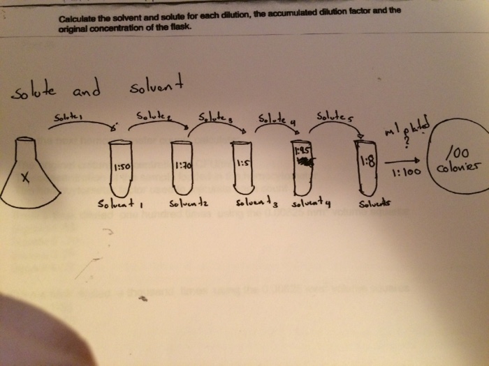 Calculate the solvent and solute for each dilution, | Chegg.com