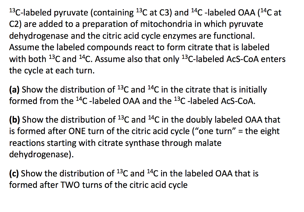 Solved 13C-labeled pyruvate (containing 13C at C3) and | Chegg.com