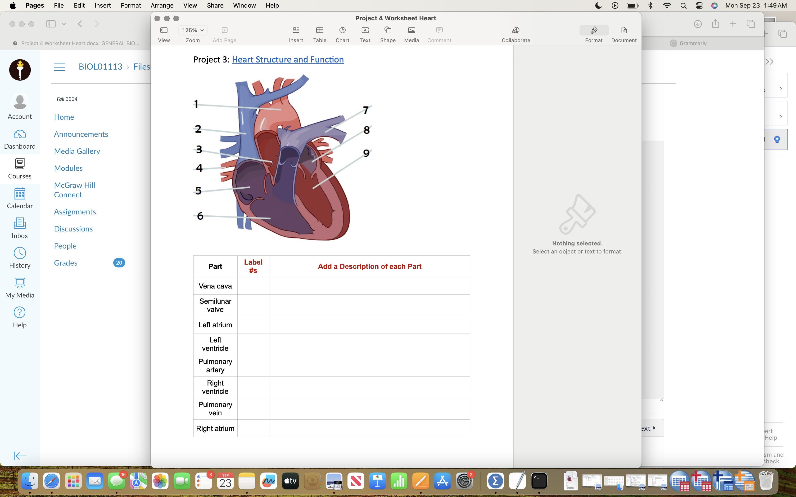 Solved help me with this study guide | Chegg.com
