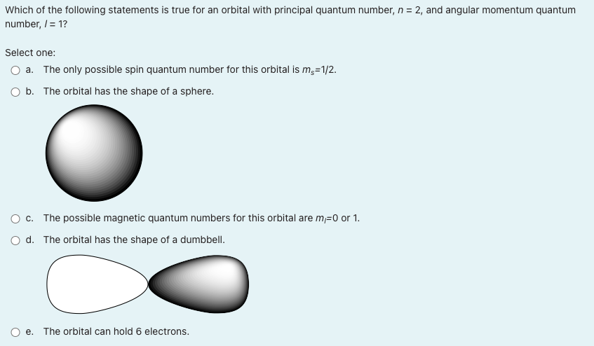 Solved Which of the statements most accurately describes the | Chegg.com