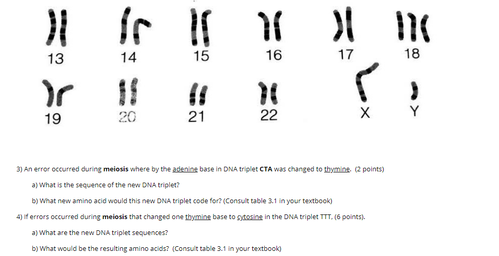 Solved 1) The following sequence of bases is found on one | Chegg.com