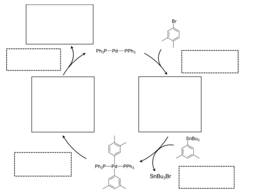 Solved We discussed the general catalytic cycle for a | Chegg.com