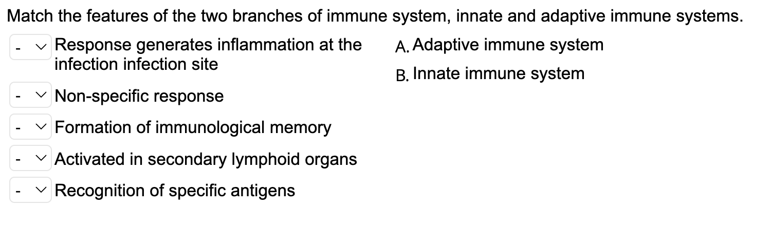 Solved Match the features of the two branches of immune | Chegg.com
