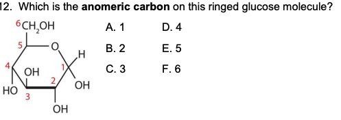 Solved 1. What forces hold complementary base pairs together | Chegg.com