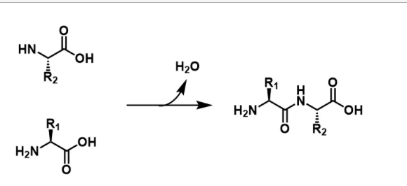 Solved For the reaction in figure 1, label the nucleophile, | Chegg.com