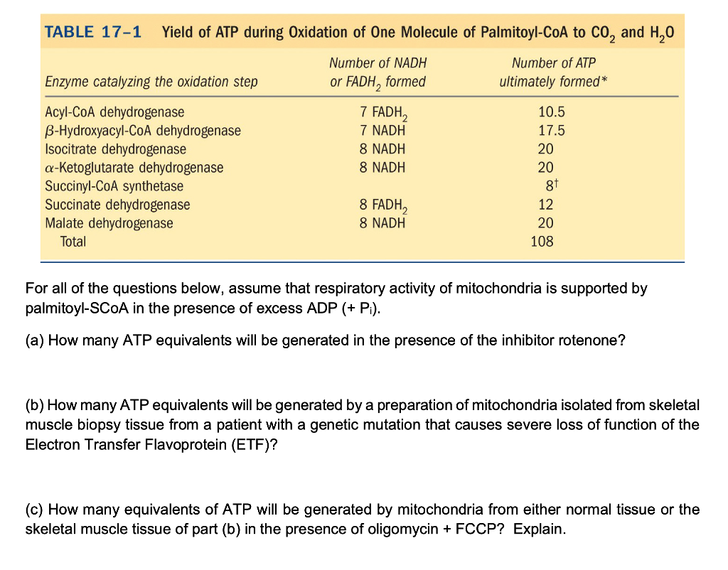 Solved TABLE 171 Yield of ATP during Oxidation of One
