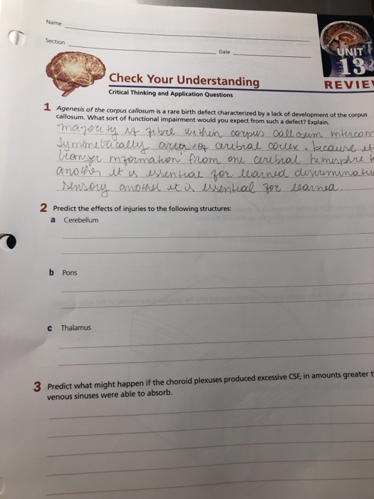 Solved Name Section Date 132 REVIE Check Your Understanding