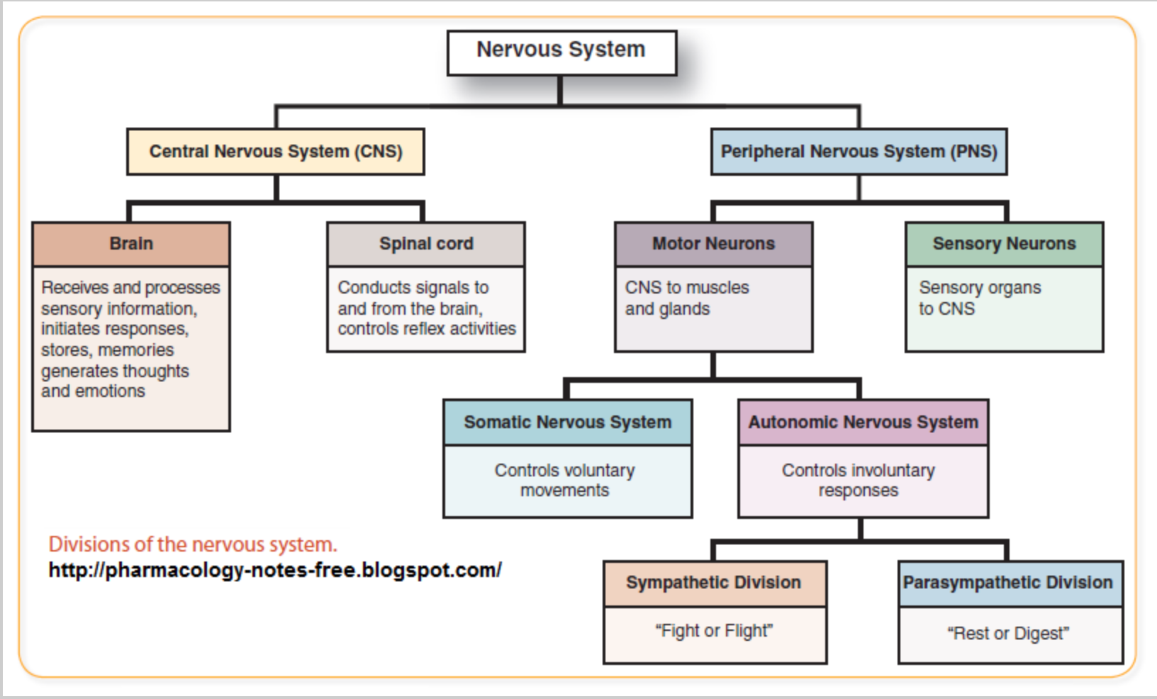 Solved Using the following image, explain how the diagram | Chegg.com