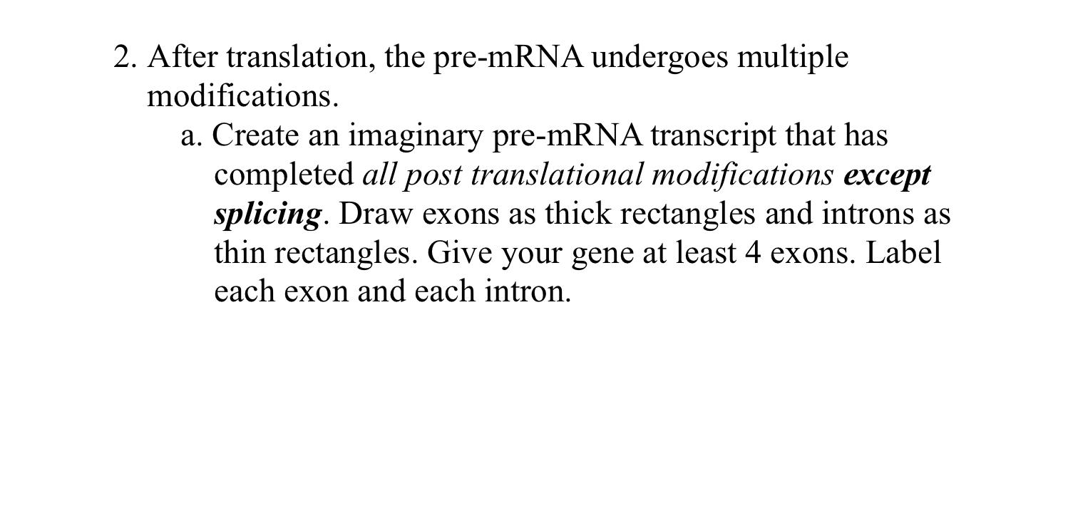 Solved 2. After translation, the pre-mRNA undergoes multiple | Chegg.com